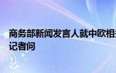 商务部新闻发言人就中欧相关贸易救济措施世贸组织争端答记者问