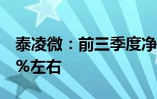 泰凌微：前三季度净利润预计同比增长58.61%左右