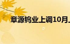 章源钨业上调10月上半月长单采购报价