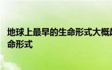 地球上最早的生命形式大概起源于多少年前 地球上最早的生命形式 