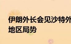 伊朗外长会见沙特外交大臣 讨论双边关系与地区局势