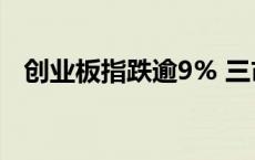 创业板指跌逾9% 三市下跌个股近5300只