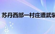 苏丹西部一村庄遭武装分子袭击 致20人死亡