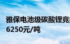 雅保电池级碳酸锂竞拍结果出炉 中标价格为76250元/吨