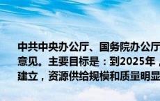 中共中央办公厅、国务院办公厅发布关于加快公共数据资源开发利用的意见。主要目标是：到2025年，公共数据资源开发利用制度规则初步建立，资源供给规模和质量明显提升，