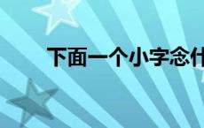 下面一个小字念什么 厶下面一个小 