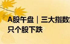 A股午盘｜三大指数集体回调 全市场超5000只个股下跌