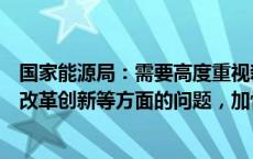 国家能源局：需要高度重视新能源接网和消纳、新能源领域改革创新等方面的问题，加快推进相关工作落实