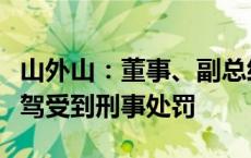 山外山：董事、副总经理、核心技术人员因酒驾受到刑事处罚