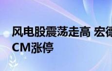 风电股震荡走高 宏德股份、飞沃科技双双20CM涨停