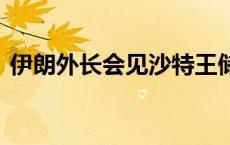 伊朗外长会见沙特王储兼首相 讨论地区局势