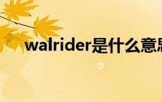 walrider是什么意思 rider是什么意思 