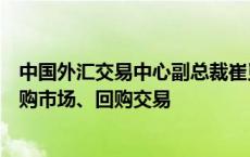 中国外汇交易中心副总裁崔嵬：加快推出境外机构的债券回购市场、回购交易