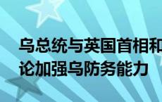 乌总统与英国首相和北约秘书长举行会谈 讨论加强乌防务能力