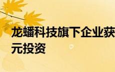 龙蟠科技旗下企业获印尼主权财富基金2亿美元投资