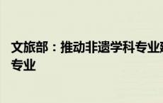 文旅部：推动非遗学科专业建设，21个本科院校已设立非遗专业