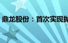 鼎龙股份：首次实现抛光垫单月销量破3万片