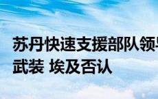 苏丹快速支援部队领导人指责埃及参与打击该武装 埃及否认