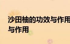 沙田柚的功效与作用及食用方法 沙田柚功效与作用 