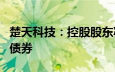 楚天科技：控股股东减持部分公司可转换公司债券