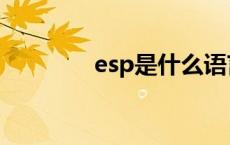 esp是什么语言 esp是什么 