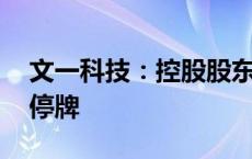 文一科技：控股股东筹划重大事项 股票继续停牌