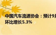 中国汽车流通协会：预计9月二手车交易量将达到165万辆 环比增长5.3%