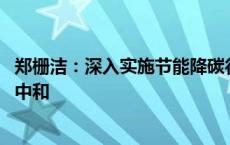 郑栅洁：深入实施节能降碳行动方案 积极稳妥推进碳达峰碳中和