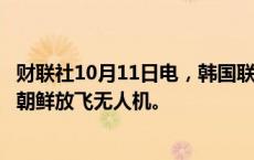 财联社10月11日电，韩国联合参谋本部表示，韩国军方未向朝鲜放飞无人机。