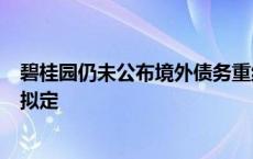 碧桂园仍未公布境外债务重组方案 曾表示9月完成条款清单拟定