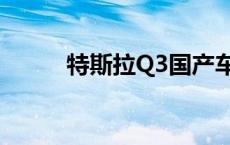 特斯拉Q3国产车销量创历史新高