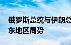 俄罗斯总统与伊朗总统举行会谈 主要讨论中东地区局势