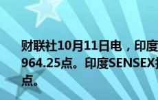 财联社10月11日电，印度NIFTY指数收盘跌0.14%，报24,964.25点。印度SENSEX指数收盘跌0.28%，报81,381.36点。