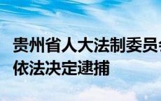 贵州省人大法制委员会原副主任委员杨再春被依法决定逮捕