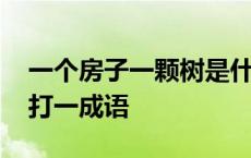 一个房子一颗树是什么标志 一个房子一棵树打一成语 