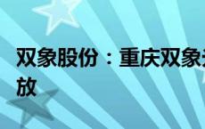 双象股份：重庆双象光学一期项目产能正在释放