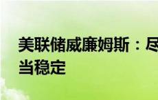 美联储威廉姆斯：尽管有波动 但通胀下降相当稳定