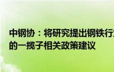 中钢协：将研究提出钢铁行业促进联合重组和完善退出机制的一揽子相关政策建议