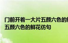 门前开着一大片五颜六色的鲜花仿句池塘里 门前开着一大片五颜六色的鲜花仿句 