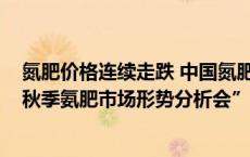 氮肥价格连续走跌 中国氮肥工业协会将召开“2024年全国秋季氨肥市场形势分析会”