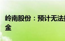 岭南股份：预计无法按期归还临时补流募集资金