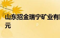 山东招金瑞宁矿业有限公司成立 注册资本9亿元