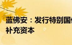 蓝佛安：发行特别国债支持国有大型商业银行补充资本