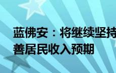 蓝佛安：将继续坚持精准施策、靶向发力 改善居民收入预期