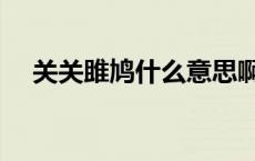 关关雎鸠什么意思啊 关关雎鸠什么意思 