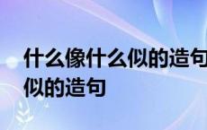 什么像什么似的造句三年级下册 什么像什么似的造句 