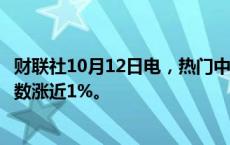 财联社10月12日电，热门中概股普涨，纳斯达克中国金龙指数涨近1%。