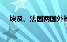 埃及、法国两国外长通话 讨论黎以局势