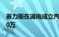 赛力斯在湖南成立汽车销售公司 注册资本300万