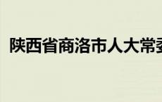 陕西省商洛市人大常委会原主任何铁虎被查